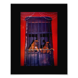 Utrymningsplanen Fototryck