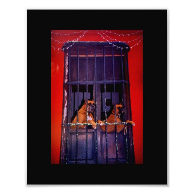 Utrymningsplanen Fototryck (Framsidan)