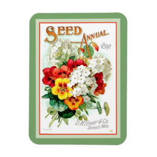 Utsäde, årligt 1879 Sage Grönt Magnet