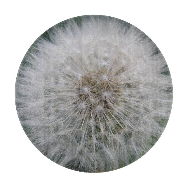 Utsäde Dandelion-blommans styckningsdel (Framsidan)