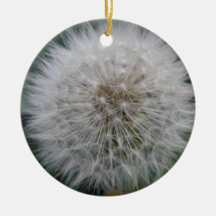 Utsäde Dandelion Flower Anpassningsbar Birthday Julgransprydnad Keramik
