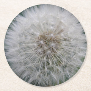 Utsäde Dandelion Flower Papper Underlägg Rund