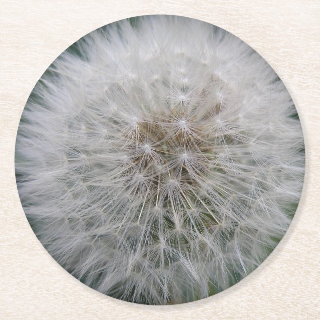 Utsäde Dandelion Flower Papper Underlägg Rund (Framsidan)