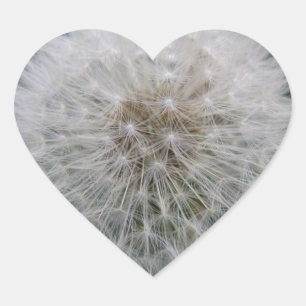 Utsäde Dandelion Flower Stickers Hjärtformat Klistermärke