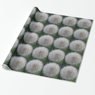 Utsäde Dandelion Flower Wrapping Papper Presentpapper