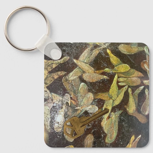 Utsäde och nyckelkedjan Nyckel Nyckelring (Framsida)