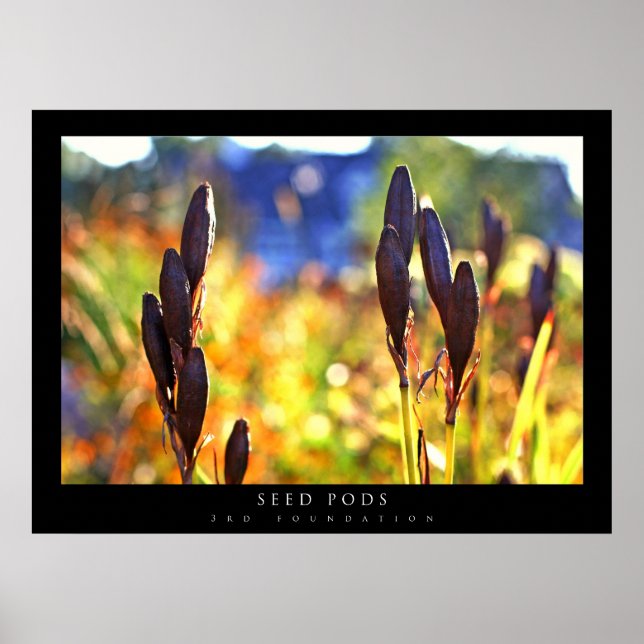 Utsäde Poder Poster (Framsidan)