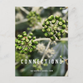 Utsäde - vykort för manifest Connections-Poder