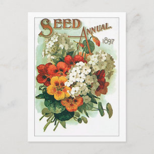 Utsädespaket för vintage-assorterade blommor vykort