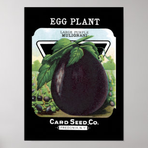 Utsädespaket för Vintage av äggplanta Poster