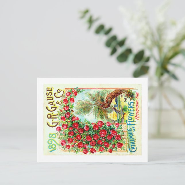 Utsädespaket. Vykort (Stående Fram)