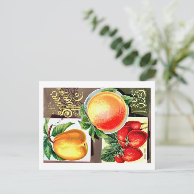 Utsädespaket. Vykort (Stående Fram)