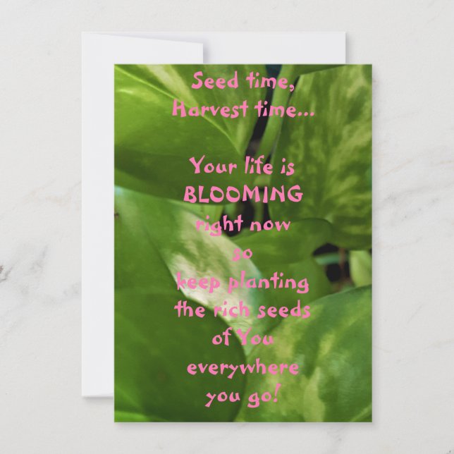 Utsädestid, kort för fast skördetid (Framsida)