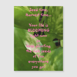 Utsädestid, kort för magnetisk skörd