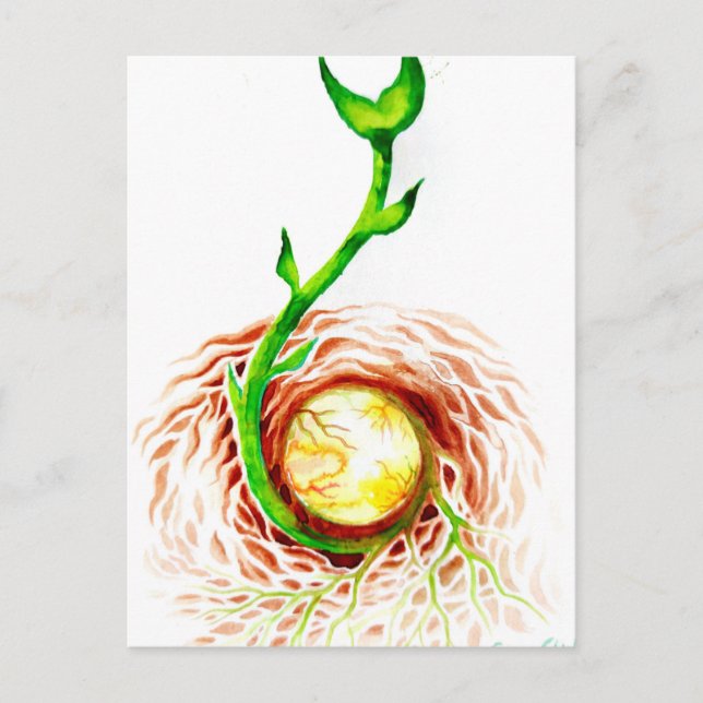 Utsädet poster kanvastryck vykort (Framsida)