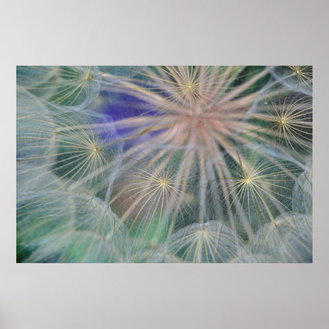 Utsädets utformning | Gennesse, Idaho Poster (Framsidan)