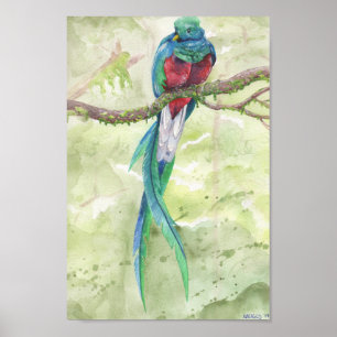 Utsatt för fara Quetzal Poster