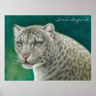 Utsatt för fara snöLeopard Poster