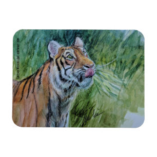 Utsatt för fara tigermagnet magnet