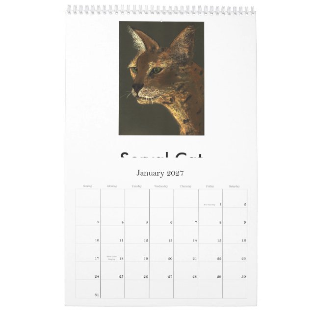 Utsatte för fara stora katter kalender (Jan 2027)
