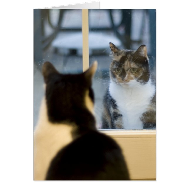 Utsidan Tittar in Hälsningskort (Framsidan)