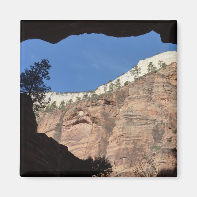 Utsikt från Devil's Staircase i Zion National Park Magnet (Framsidan)