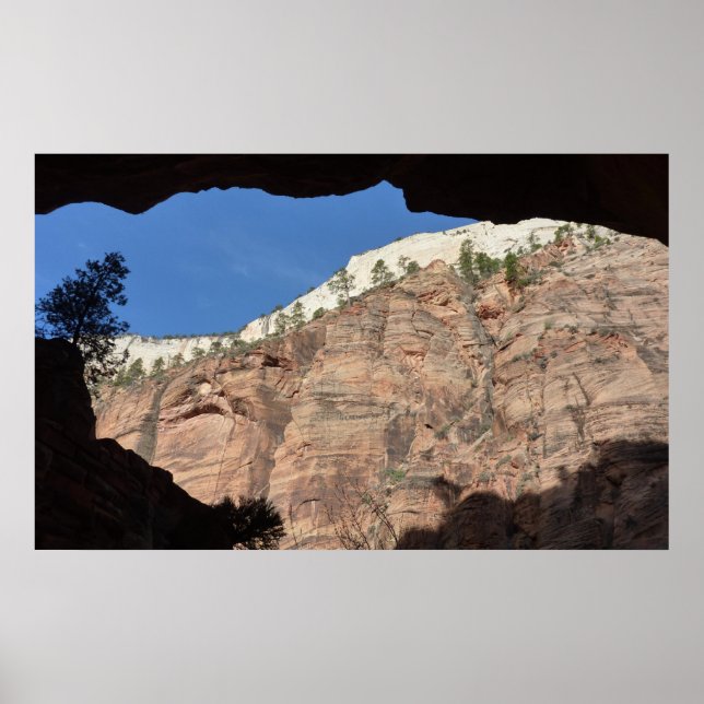 Utsikt från Devil's Staircase i Zion National Park Poster (Framsidan)