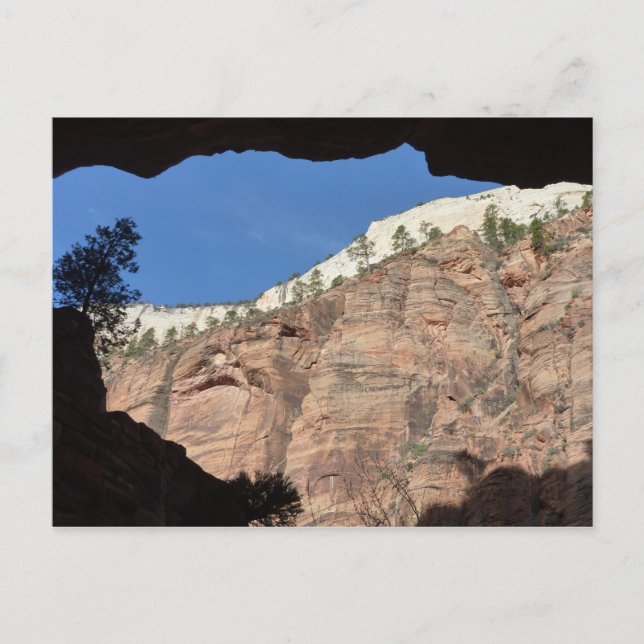 Utsikt från Devil's Staircase i Zion National Park Vykort (Framsida)