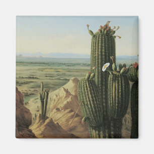 Utsikt från Maricopa Mountain nära Rio Gila av Pra Magnet