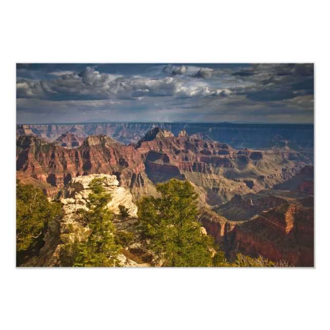 Utsikt från North Rim Visitor Center - Grand Fototryck (Framsidan)