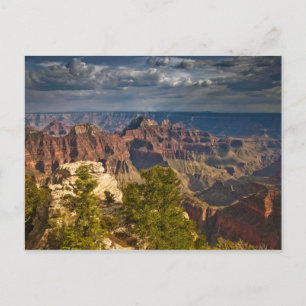 Utsikt från North Rim Visitor Center - Grand Vykort