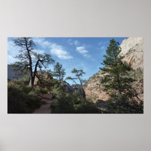 Utsikt från Scout Lookout i Zion National Park Poster