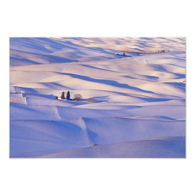 Utsikt från Steptoe Butte över böljande kullar Fototryck (Framsidan)