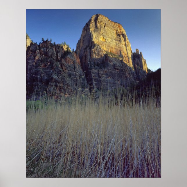 Utsikt från Virgin Rivers översvämningsslätt, Zion Poster (Framsidan)