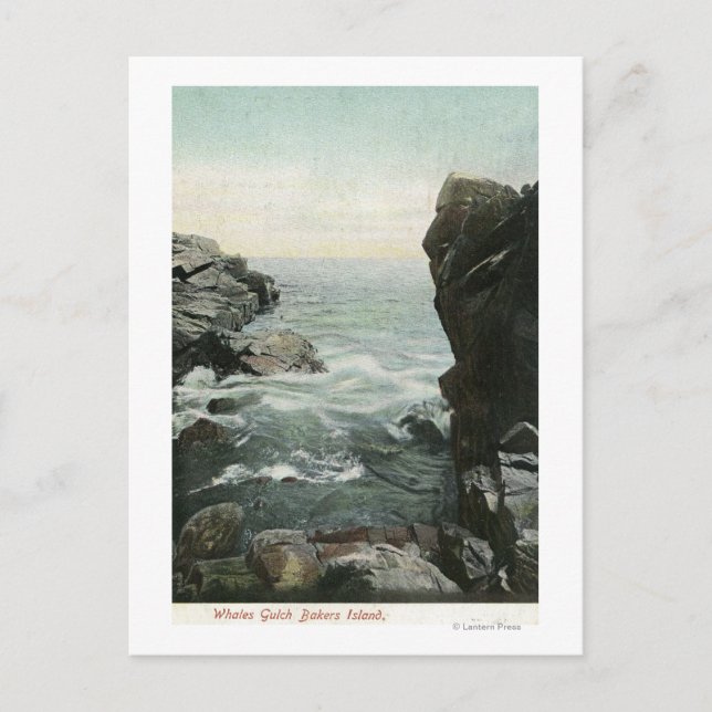 Utsikt över Bakers Island, Whales Gulch Vykort (Framsida)