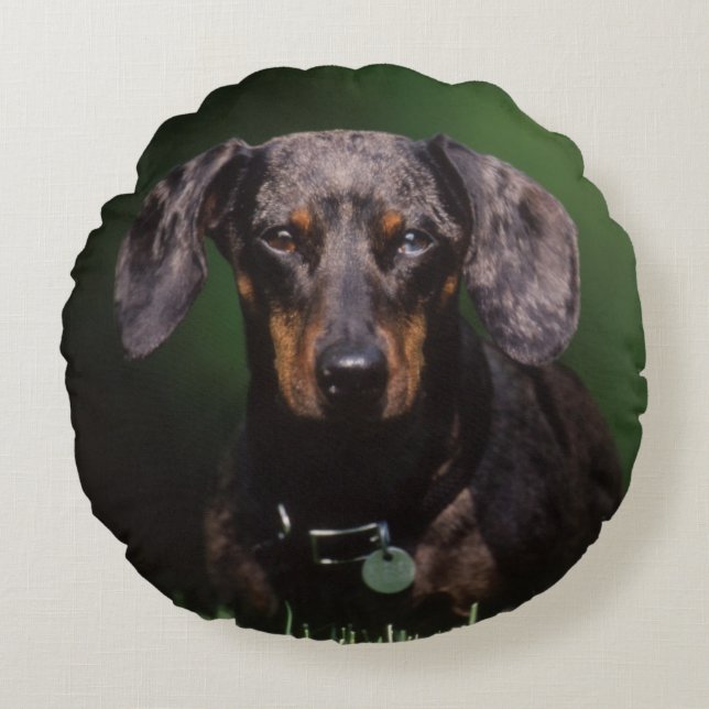 Utsikt över Dapplefärgad Dachshund Rund Kudde (Framsidan)