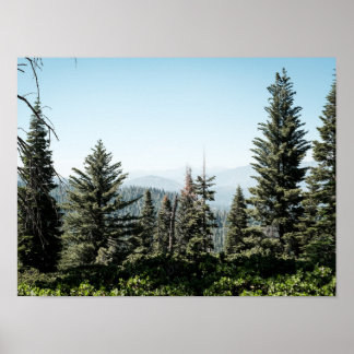 Utsikt över Kings Canyon i Sierra Nevada-skogen Poster