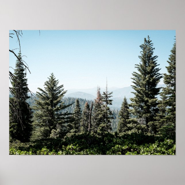 Utsikt över Kings Canyon i Sierra Nevada-skogen Poster (Framsidan)