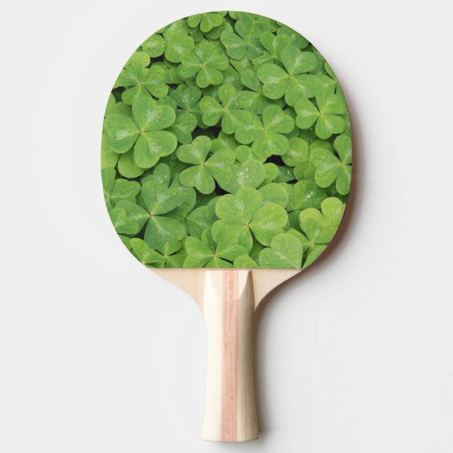Utsikt över Oxalis Oregana skogssyra bladverk Pingisracket (Framsidan)