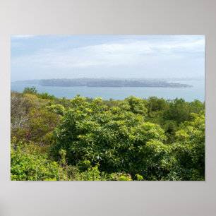 utsikt över Sydney hamn från Manly Poster