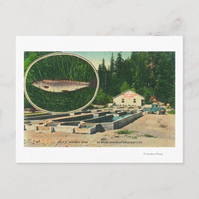 Utsikt över Trout Haven HatcheryGasquet, CA Vykort (Framsida)