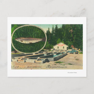 Utsikt över Trout Haven HatcheryGasquet, CA Vykort