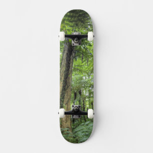 Utsikt över vegetation i Bali Botaniska Trädgårdar Skateboard Bräda 21,5 Cm