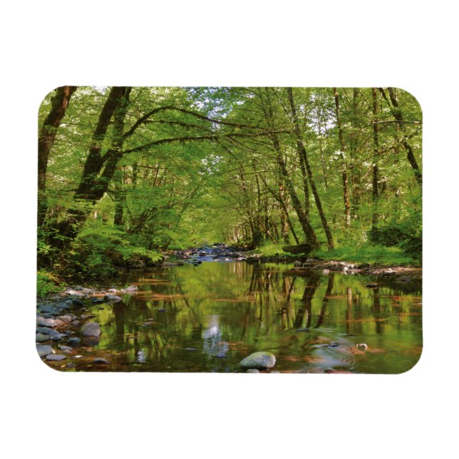 Utsikt över Wilson River Magnet (Horisontell)
