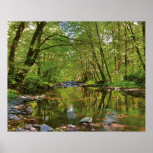 Utsikt över Wilson River Poster
