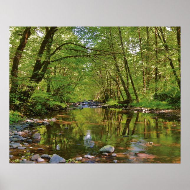 Utsikt över Wilson River Poster (Framsidan)
