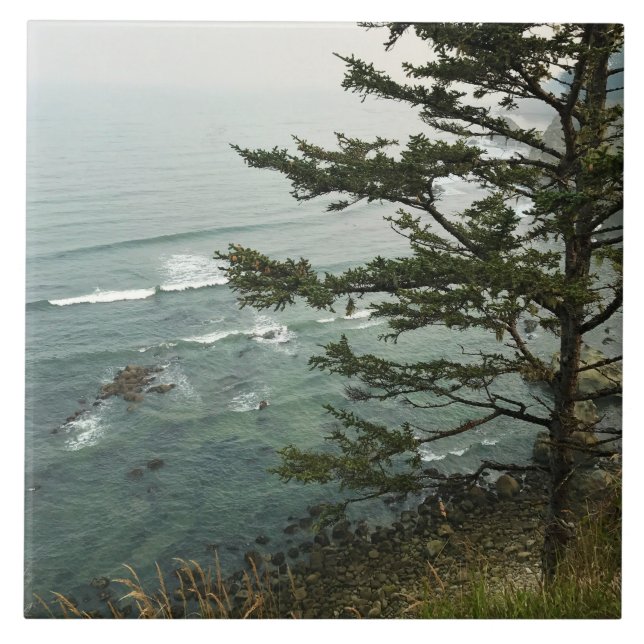 Utsikt vid Simpson Reef Overlook, Oregon-kusten Kakelplatta (Framsidan)