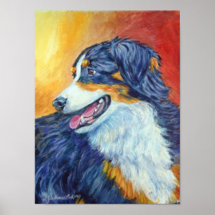 Utskrift av Australian shepherd Poster