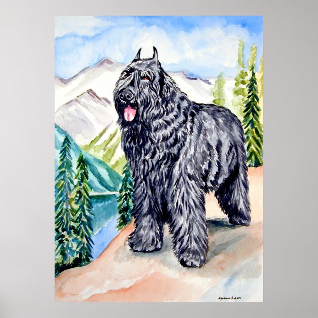 Utskrift av Bouvier des Flandres Wall Poster (Framsidan)