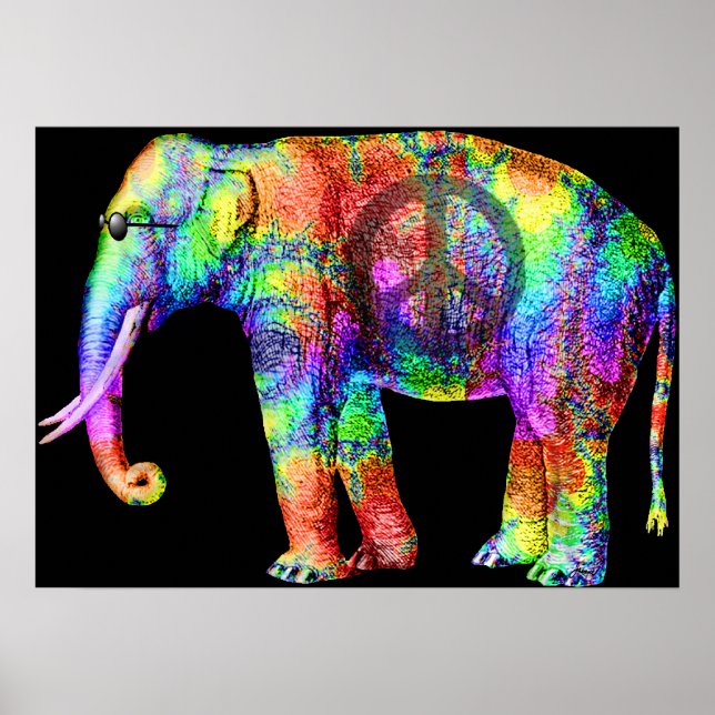 Utskrift av Coola Poster (Framsidan)